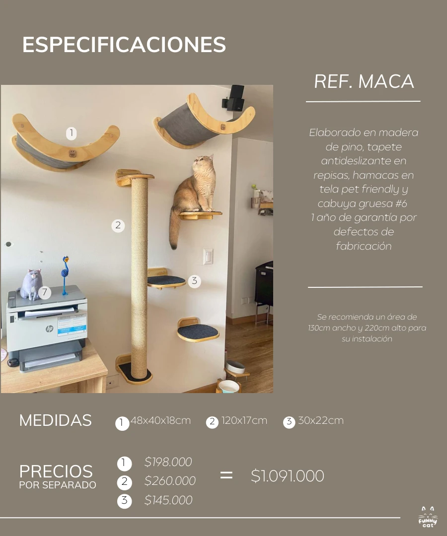 Medidas y módulos de Maca